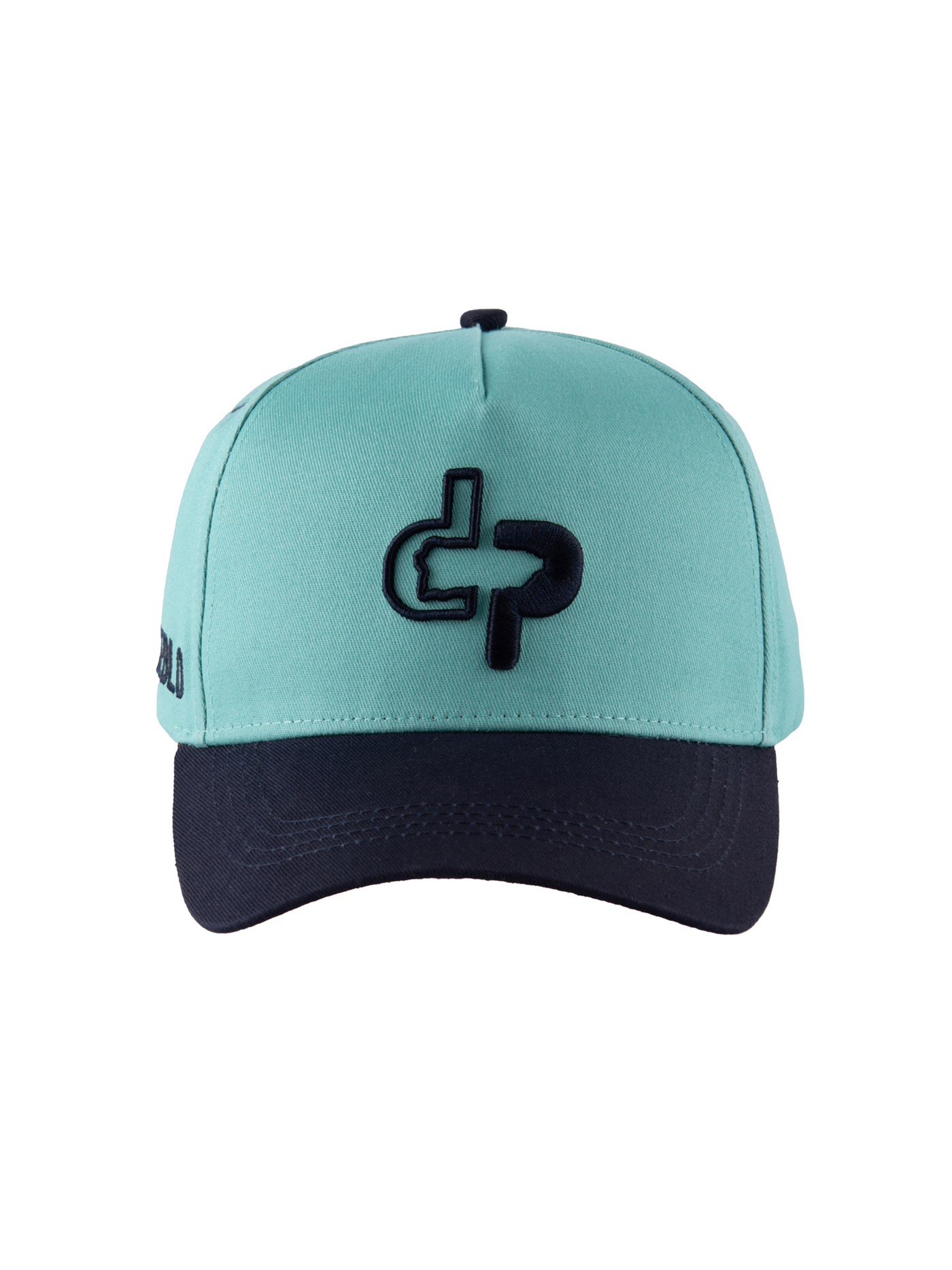DP ICON - Baseball Cap - Teal